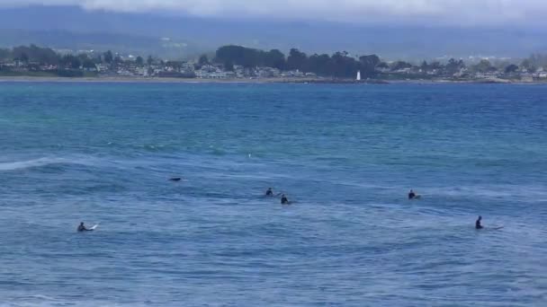 Oidentifierade Surfare Vid Santa Cruz Pleasure Point Norra Monterey Bay — Stockvideo