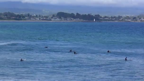 Unbekannte Surfer Santa Cruz Pleasure Point Der Nördlichen Monterey Bay — Stockvideo