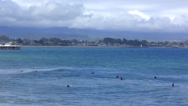 Surfeurs Non Identifiés Santa Cruz Pleasure Point Sur Nord Baie — Video