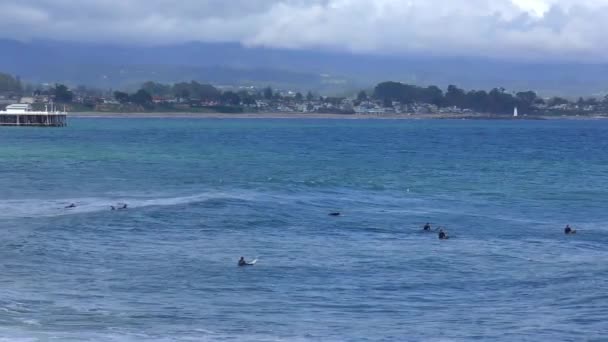 Oidentifierade Surfare Vid Santa Cruz Pleasure Point Norra Monterey Bay — Stockvideo