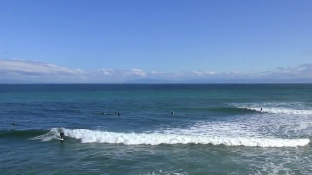 Niet Geïdentificeerde Surfers Santa Cruz Pleasure Point Aan Noordelijke Monterey — Stockvideo