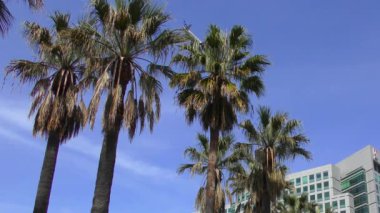 SAN JOSE, CALIFORNIA, ABD - 15 Nisan 2017: Adobe Systems genel merkezi San Jose şehir merkezindeki Park Avenue