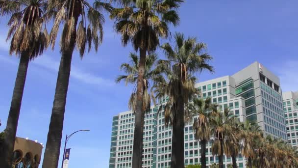 San Jose California Usa April 2017 Adobe Systems Headquarters Park — 图库视频影像