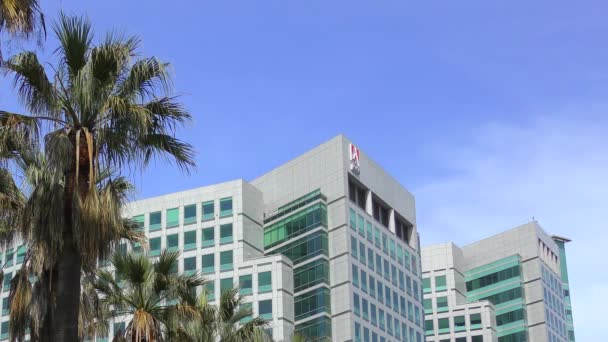 San Joose California Usa April 2017 Adobe Systems Headquarters Park — 비디오