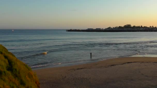 Oceano Pacifico Santa Cruz California Usa Circa Aprile 2017 — Video Stock