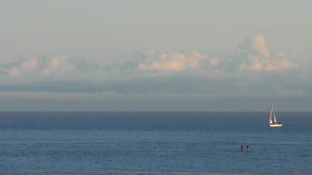 Océan Pacifique Santa Cruz Californie États Unis Vers Avril 2017 — Video