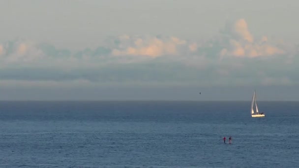 Oceano Pacífico Santa Cruz Califórnia Eua Por Volta Abril 2017 — Vídeo de Stock