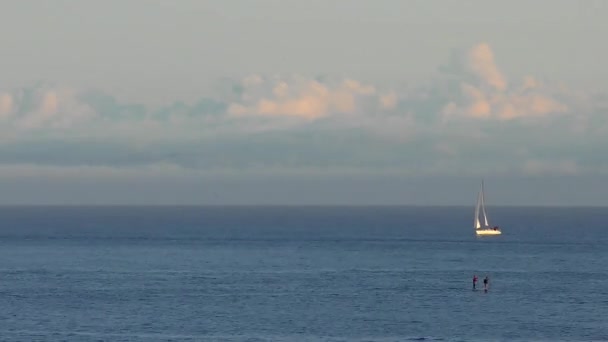 Océan Pacifique Santa Cruz Californie États Unis Vers Avril 2017 — Video