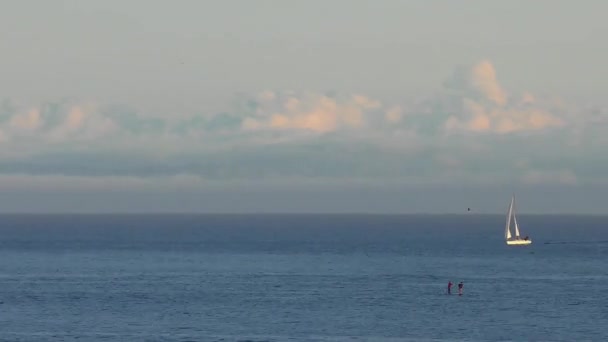 Océan Pacifique Santa Cruz Californie États Unis Vers Avril 2017 — Video