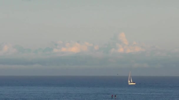 Тихий Океан Санта Крузе Калифорния Сша Апрель 2017 Года — стоковое видео