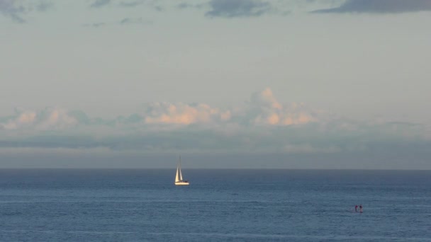 Océan Pacifique Santa Cruz Californie États Unis Vers Avril 2017 — Video