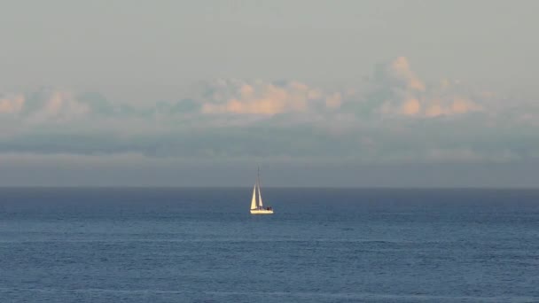 Tichý Oceán Santa Cruz Kalifornie Usa Přibližně Duben 2017 — Stock video