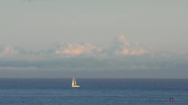 Tichý Oceán Santa Cruz Kalifornie Usa Přibližně Duben 2017 — Stock video