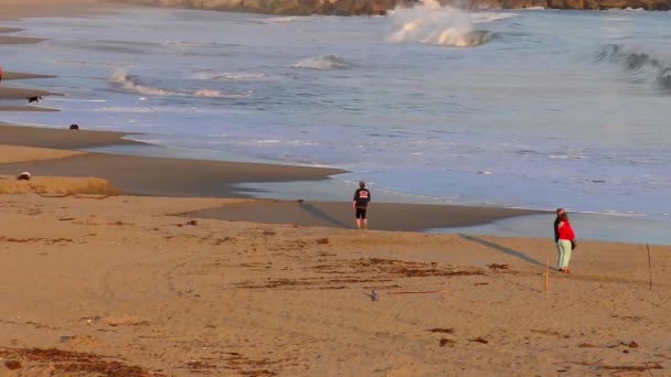 Océan Pacifique Santa Cruz Californie États Unis Vers Avril 2017 — Video