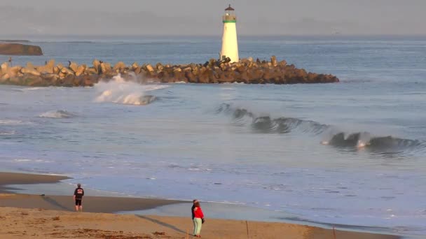 Océano Pacífico Santa Cruz California Alrededor Abril 2017 — Vídeos de Stock