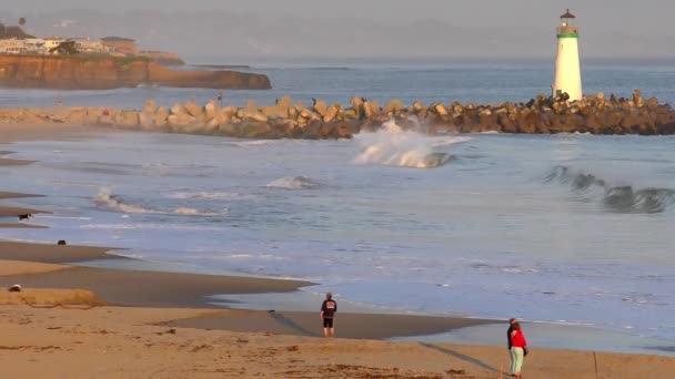 Stilla Havet Vid Santa Cruz Kalifornien Usa April 2017 — Stockvideo
