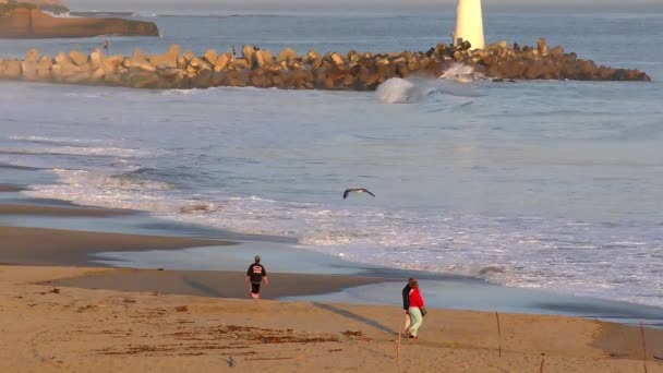 Тихий Океан Санта Крус Каліфорнія Сша Близько Квітня 2017 Року — стокове відео