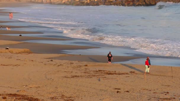 Océan Pacifique Santa Cruz Californie États Unis Vers Avril 2017 — Video