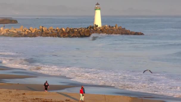 Stilla Havet Vid Santa Cruz Kalifornien Usa April 2017 — Stockvideo