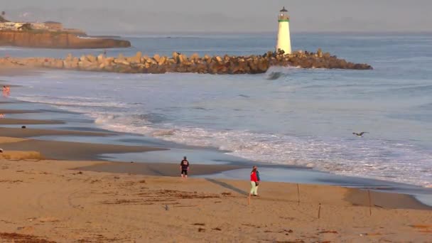 Pacific Ocean Santa Cruz California Usa Circa April 2017 — Stock Video