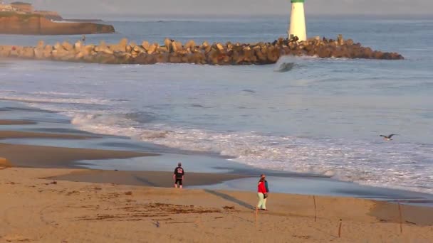 2017 캘리포니아 산타크루스의 태평양 — 비디오