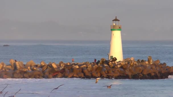 Océan Pacifique Santa Cruz Californie États Unis Vers Avril 2017 — Video