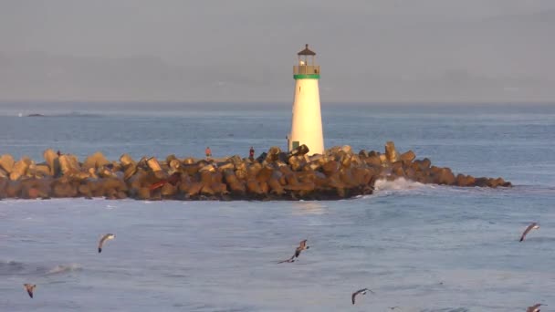 Océan Pacifique Santa Cruz Californie États Unis Vers Avril 2017 — Video