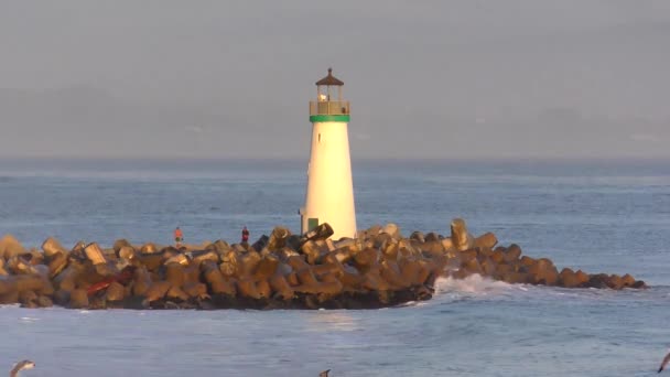 Océano Pacífico Santa Cruz California Alrededor Abril 2017 — Vídeos de Stock