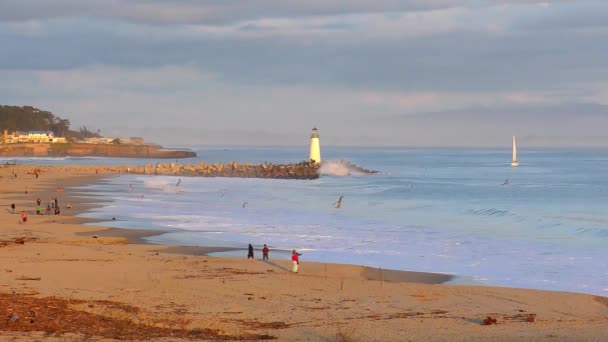 Stilla Havet Vid Santa Cruz Kalifornien Usa April 2017 — Stockvideo