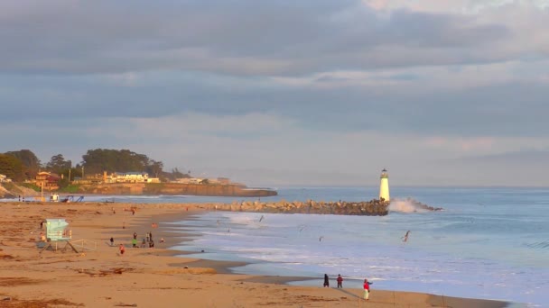 Océan Pacifique Santa Cruz Californie États Unis Vers Avril 2017 — Video