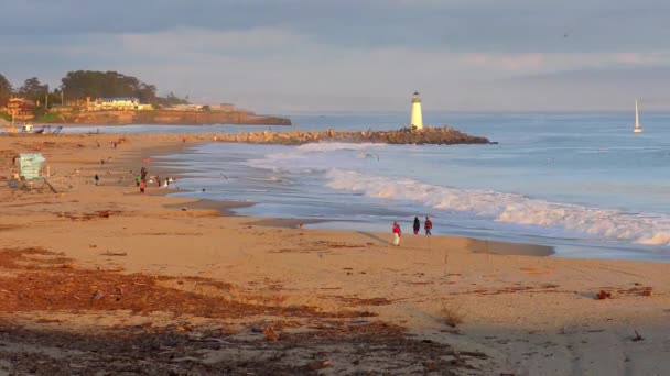 Oceano Pacífico Santa Cruz Califórnia Eua Por Volta Abril 2017 — Vídeo de Stock