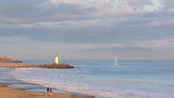 Océan Pacifique Santa Cruz Californie États Unis Vers Avril 2017 — Video