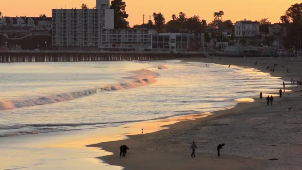 Oceano Pacífico Santa Cruz Califórnia Eua Por Volta Abril 2017 — Vídeo de Stock