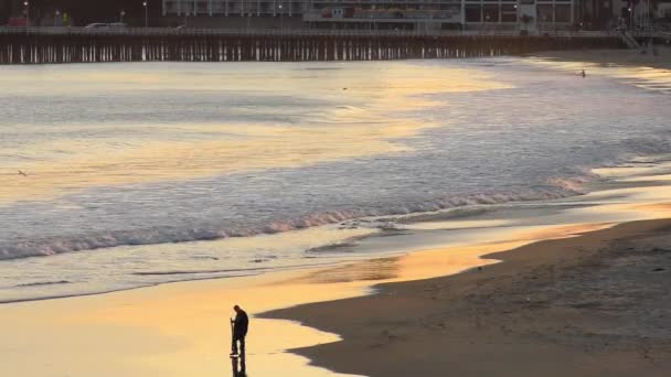 Oceano Pacífico Santa Cruz Califórnia Eua Por Volta Abril 2017 — Vídeo de Stock