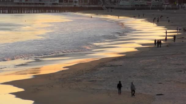 Oceano Pacífico Santa Cruz Califórnia Eua Por Volta Abril 2017 — Vídeo de Stock