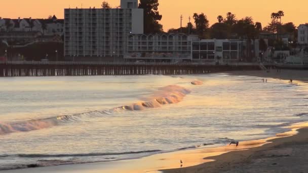 Oceano Pacífico Santa Cruz Califórnia Eua Por Volta Abril 2017 — Vídeo de Stock