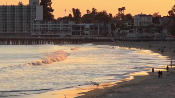 Oceano Pacifico Santa Cruz California Usa Circa Aprile 2017 — Video Stock