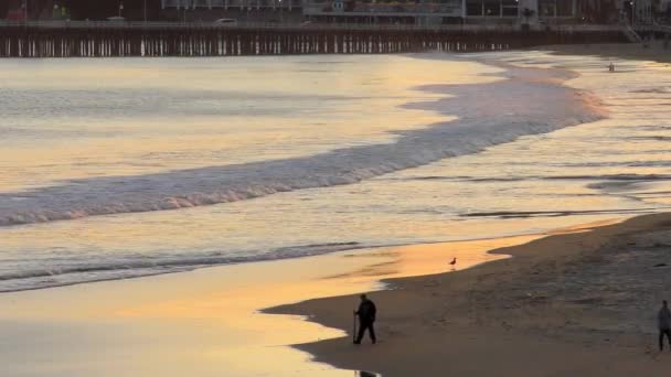 Ηλιοβασίλεμα Στο Λιμάνι Santa Cruz Στο Βόρειο Monterey Bay Στη — Αρχείο Βίντεο