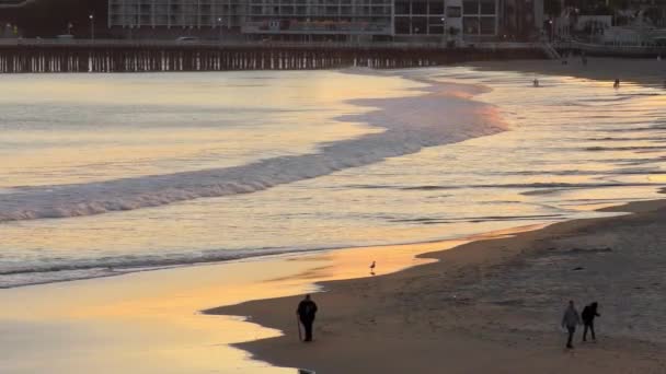 Pôr Sol Porto Santa Cruz Norte Baía Monterey Condado Santa — Vídeo de Stock