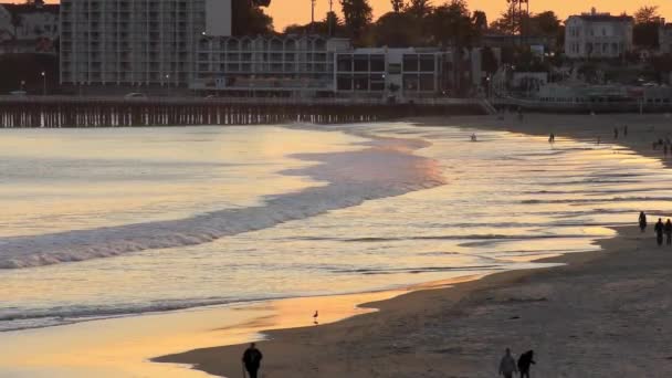 位于美国加利福尼亚州圣克鲁斯县蒙特利湾北部的圣克鲁斯港 是世界著名的冲浪胜地 — 图库视频影像