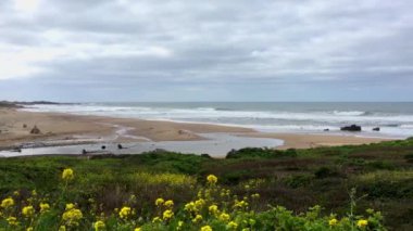 Gazos Creek Eyalet Plajı, Pescadero, Kaliforniya, ABD