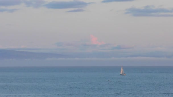 Sailing Yacht Pacific Ocean Seen Santa Cruz Beach Boardwalk Sunset — Stock Video