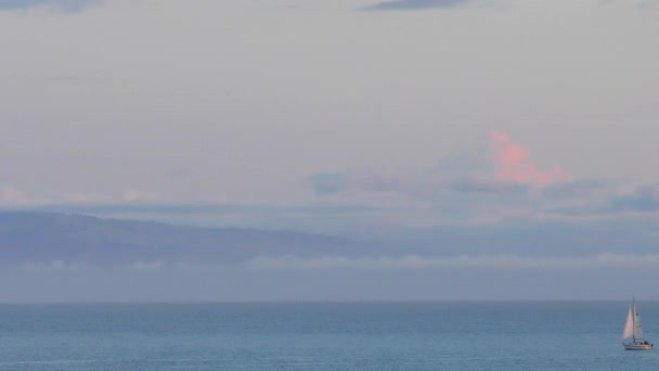 곳에서 바라본 태평양의 산타크루스 워크에서 바라본 캘리포니아주 산타크루즈군의 몬테레이만 북부에서 — 비디오