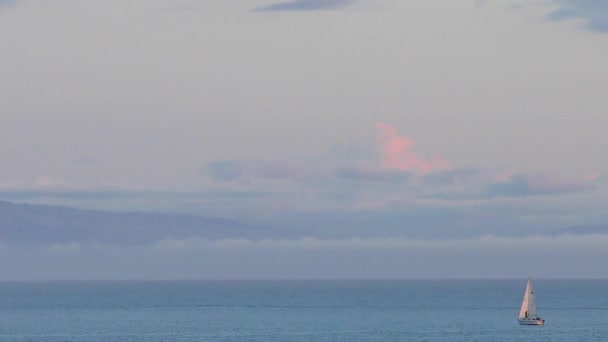 サンタクルスビーチから見た太平洋上のヨットセーリングサンタクルスビーチボードウォーク日没 カリフォルニア州サンタクルス郡のモントレー湾北部 — ストック動画