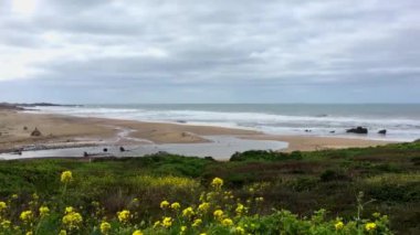 Gazos Creek Eyalet Plajı, Pescadero, Kaliforniya, ABD