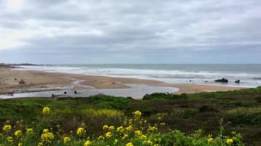 Gazos Creek Eyalet Plajı, Pescadero, Kaliforniya, ABD