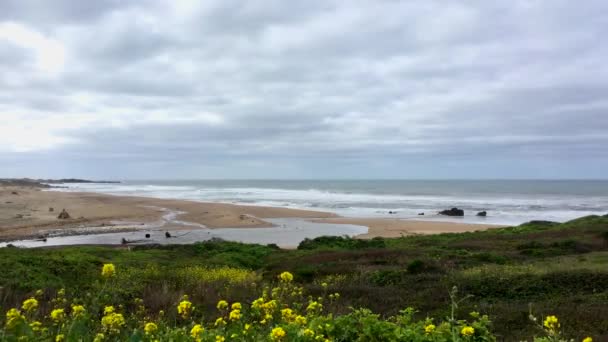 Gazos Creek State Beach Pescadero California Usa — Video Stock