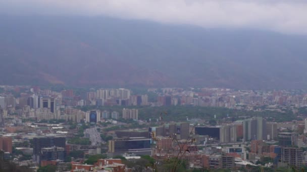 Άποψη Του Καράκας Της Πρωτεύουσας Της Βενεζουέλας Από Την Άποψη — Αρχείο Βίντεο