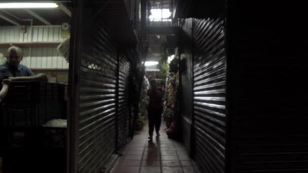 Medellin Kolombiya Daki Minorista Meydanı Ndaki Plaza Minorista Çiftçi Pazarındaki — Stok video