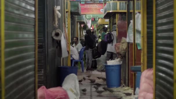 Persone Non Identificate Mercato Agricolo Plaza Minorista Piazza Minorista Medellin — Video Stock